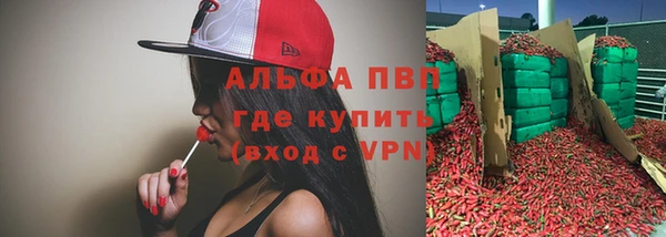 кокс Белокуриха