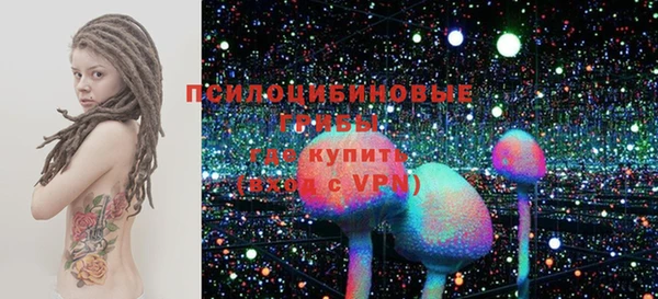 кокс Белокуриха