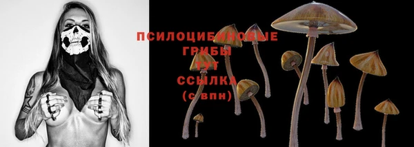 крисы Белоозёрский