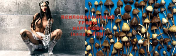 кокс Белокуриха