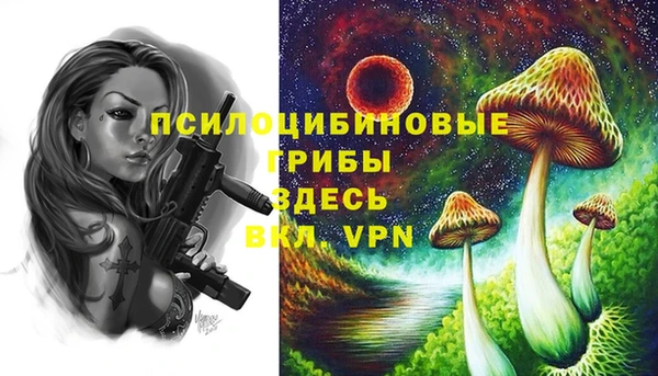 крисы Белоозёрский