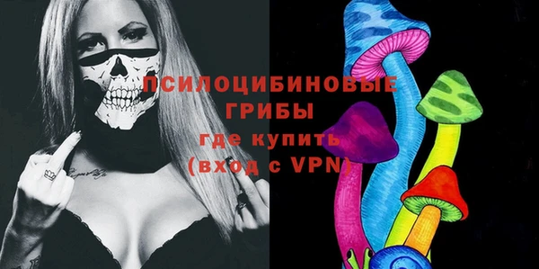 крисы Белоозёрский