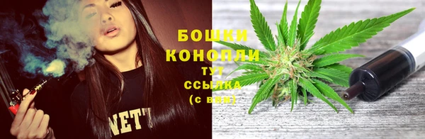 кокс Белокуриха