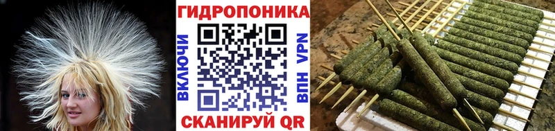 закладки  нарко площадка состав  Каннабис семена  Вязники 